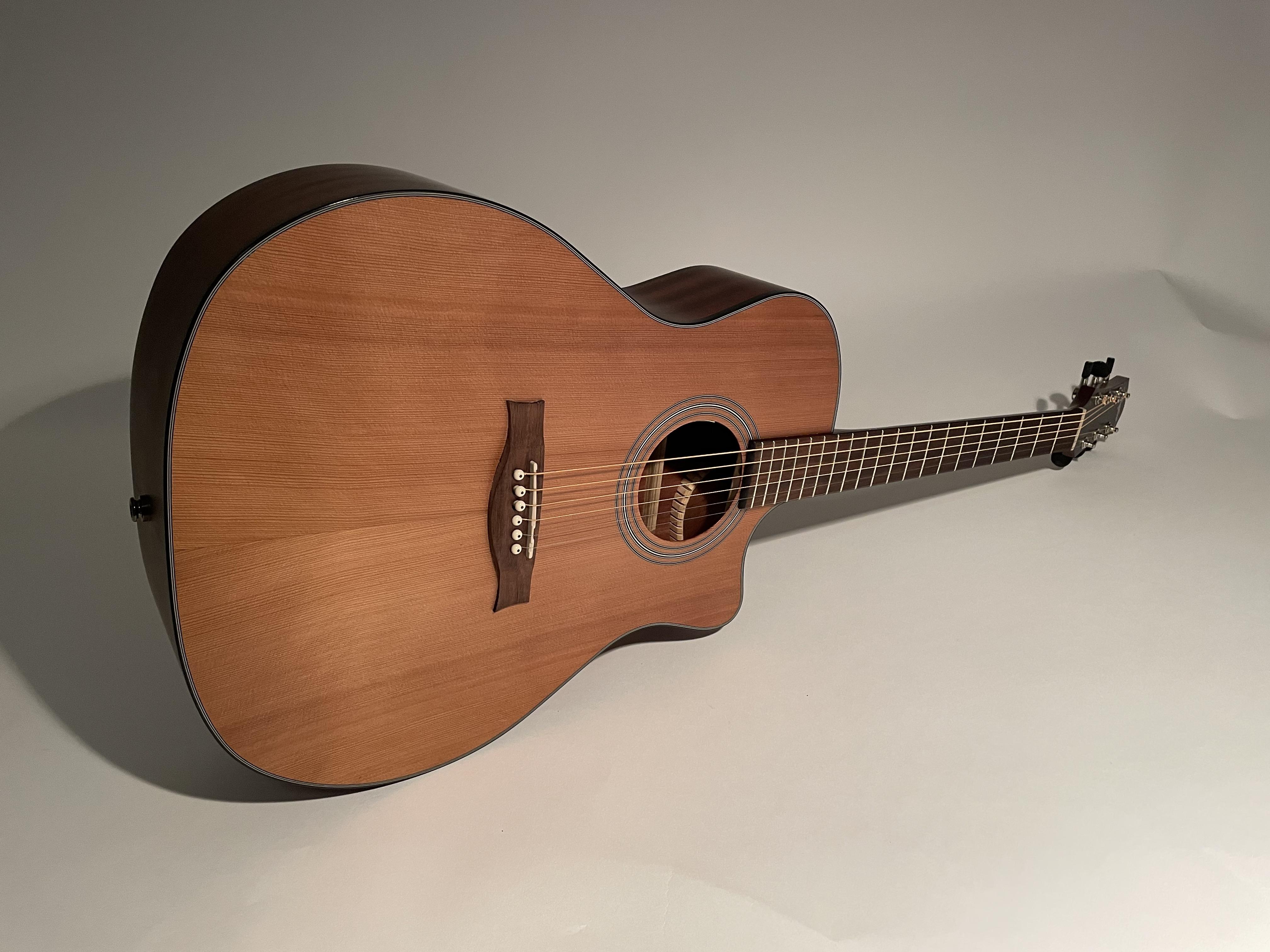Stanford Studio 49G ECW Akustikgitarre B-Stock